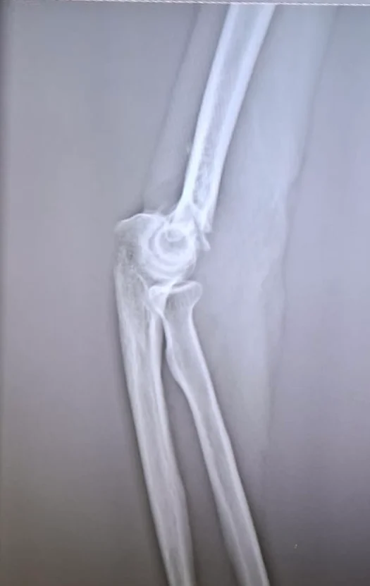 Hospital 1
